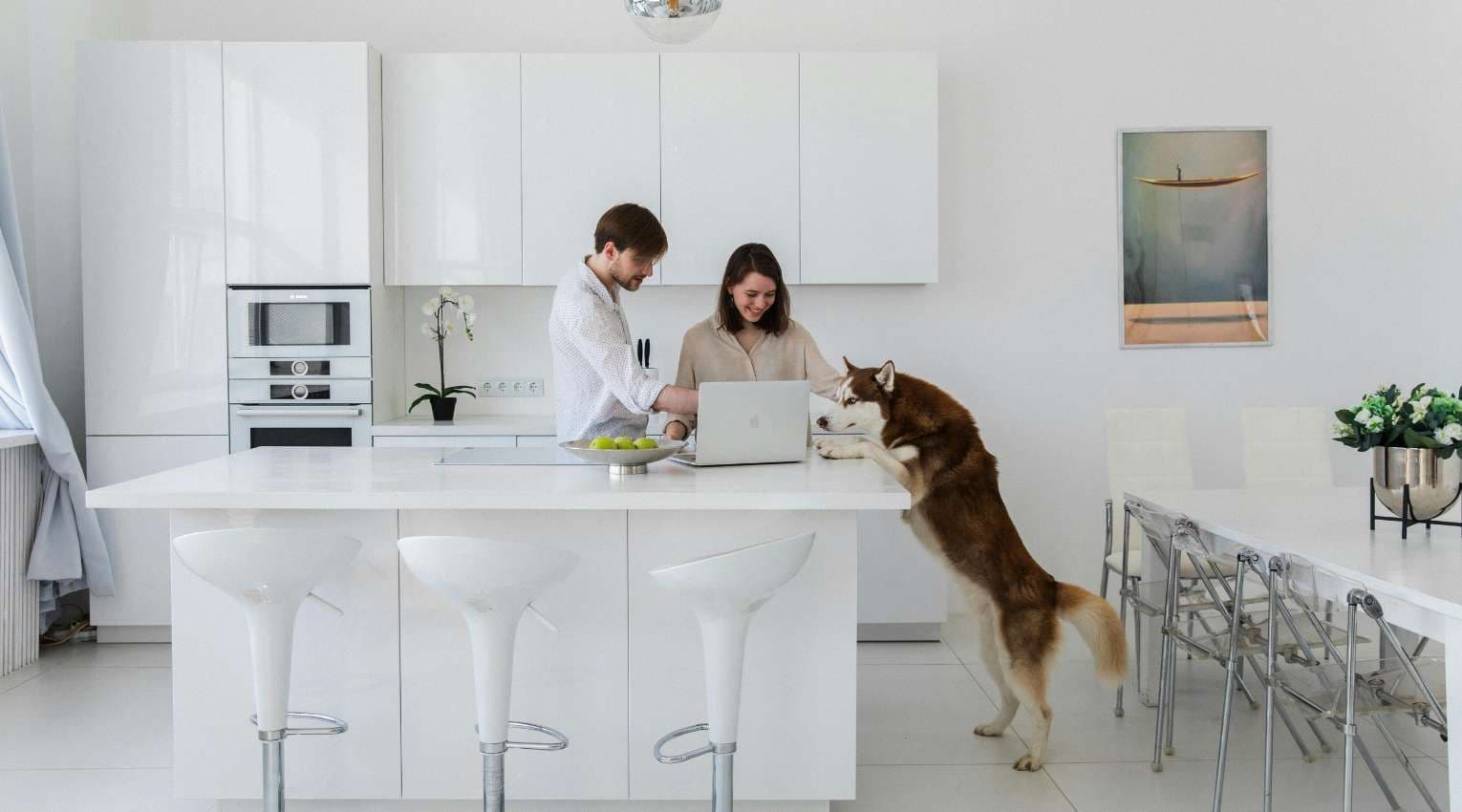 couple standing at kitchen island with pet husky